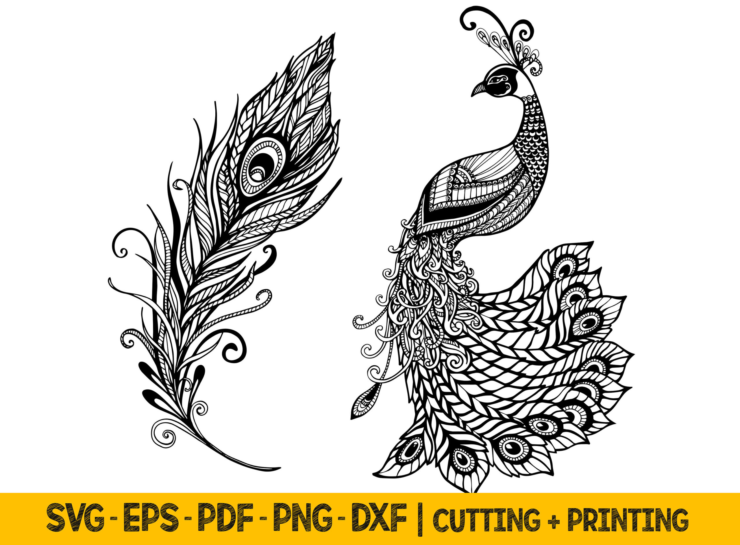 Peacock Feather Svg Cut Files: Laser, Cricut, Sublimation (Digital pertaining to Printable Peacock Feather Template