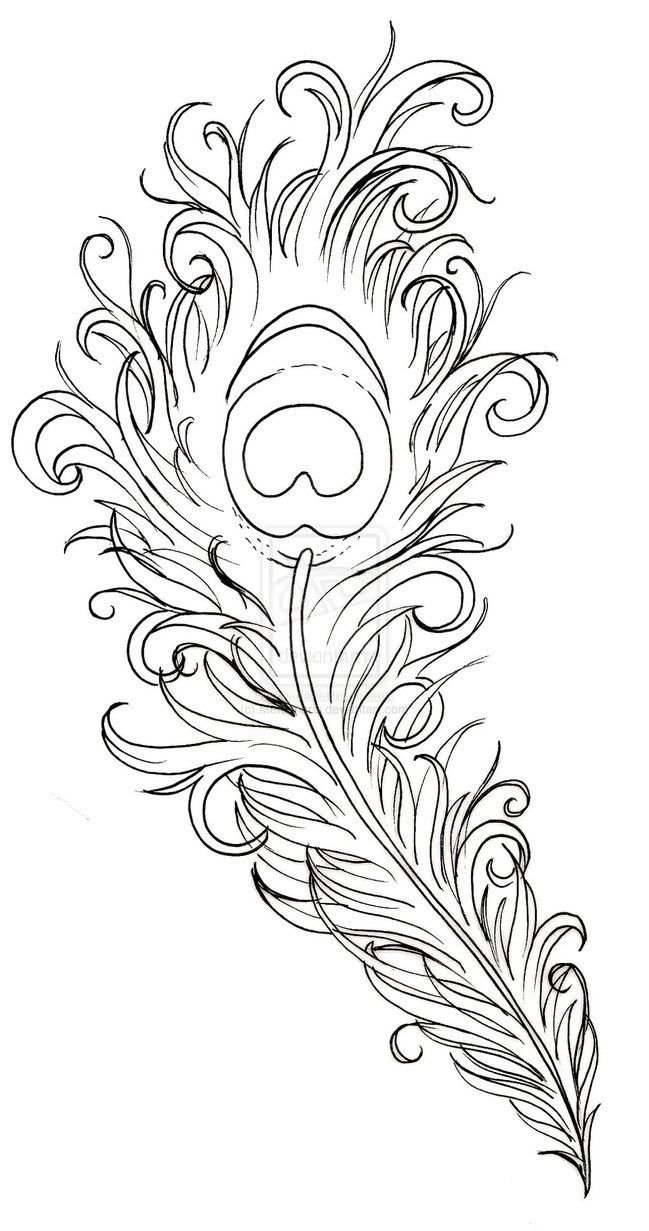 Peacock Feather Tattoometacharis On Deviantart inside Peacock Feather Template