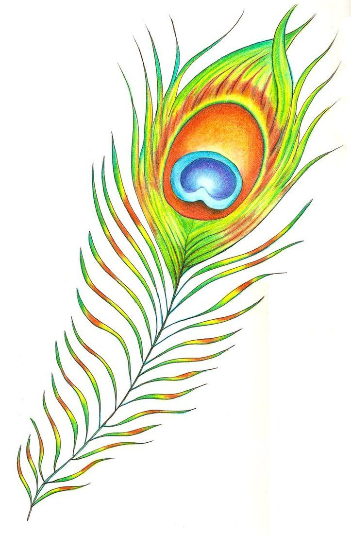 Peacock Featherchaoticatcreations On Deviantart pertaining to Template Peacock Feather