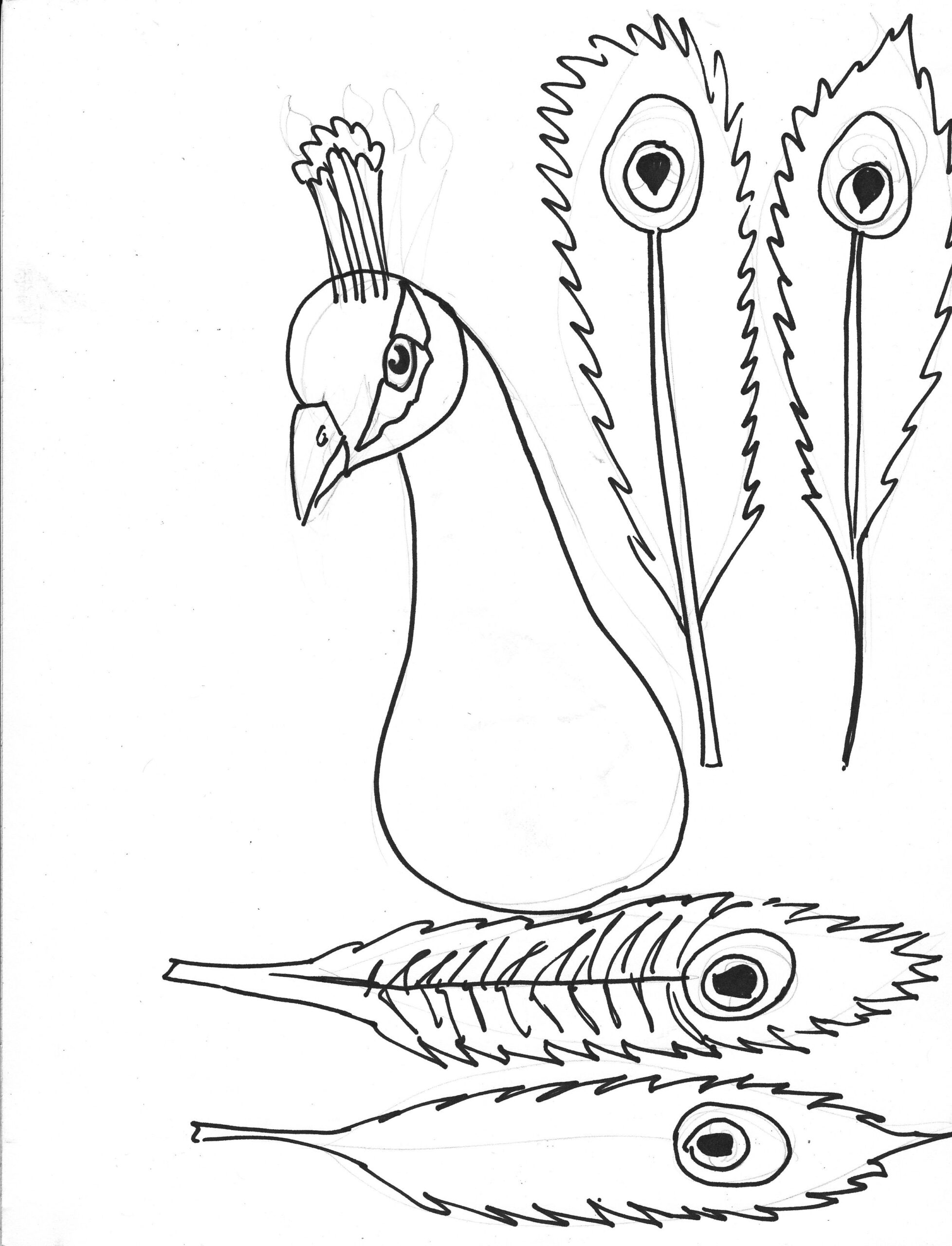 Peacock Template - 10 Free Pdf Printables | Printablee regarding Printable Peacock Feather Template