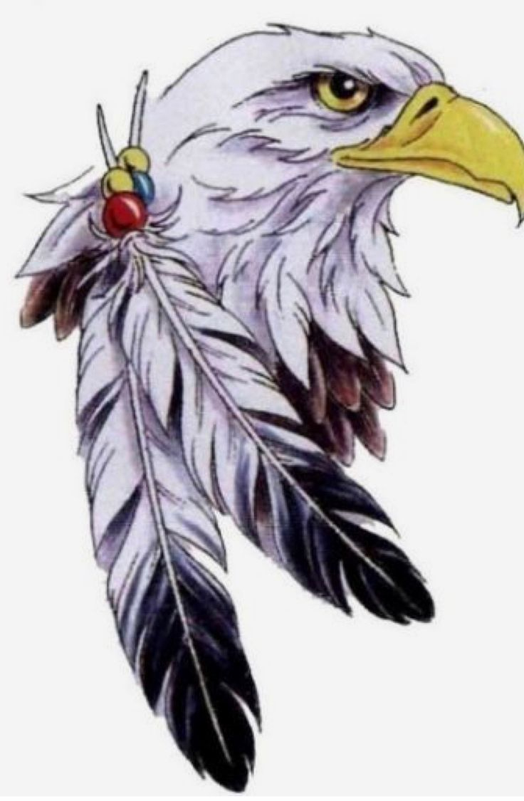 Pinmike N Lisa Biri On Great Ideas!! In 2025 | Native American with Veteran Eagle Feather Template