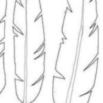 Pinpamela Schaefer On Templates | Paper Feathers, Feather In Blank Feather Template