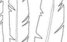 Pinpamela Schaefer On Templates | Paper Feathers, Feather in Blank Feather Template