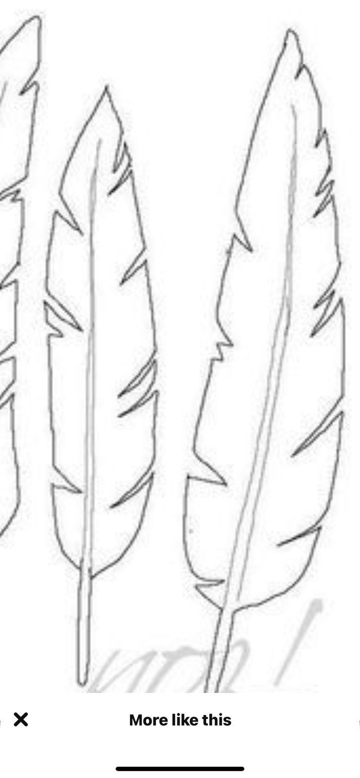 Pinpamela Schaefer On Templates | Paper Feathers, Feather in Blank Feather Template