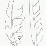 Pinterest | Feather Drawing, Feather Art, Drawings Pertaining To Feather Drawing Template