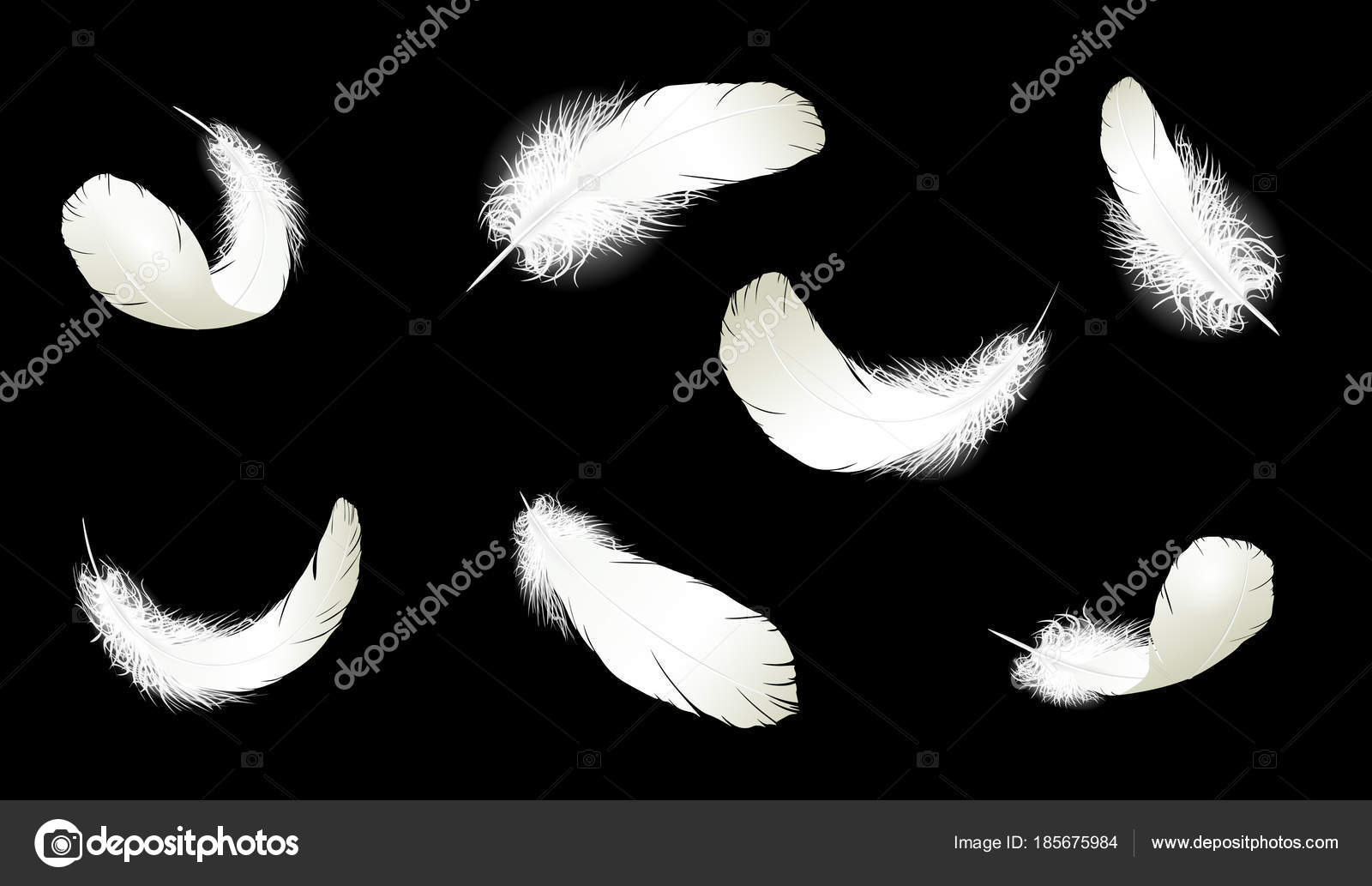 Realistic 3D Detailed White Swan Pigeon Feathers Fluff Set with regard to Falling Feather Template