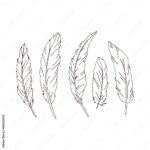 Stock Vektorgrafik „Bird Feather From Wing Silhouette Colouring Regarding Silhouette Feather Template