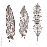 Stock Vektorgrafik „Hand Drawn Stylized Feathers. Interior Graphic Intended For Feather Art Template