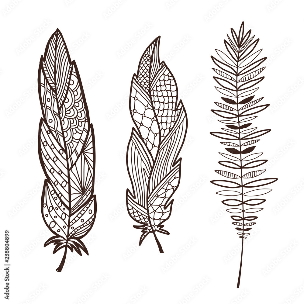 Stock-Vektorgrafik „Hand Drawn Stylized Feathers. Interior Graphic intended for Feather Art Template