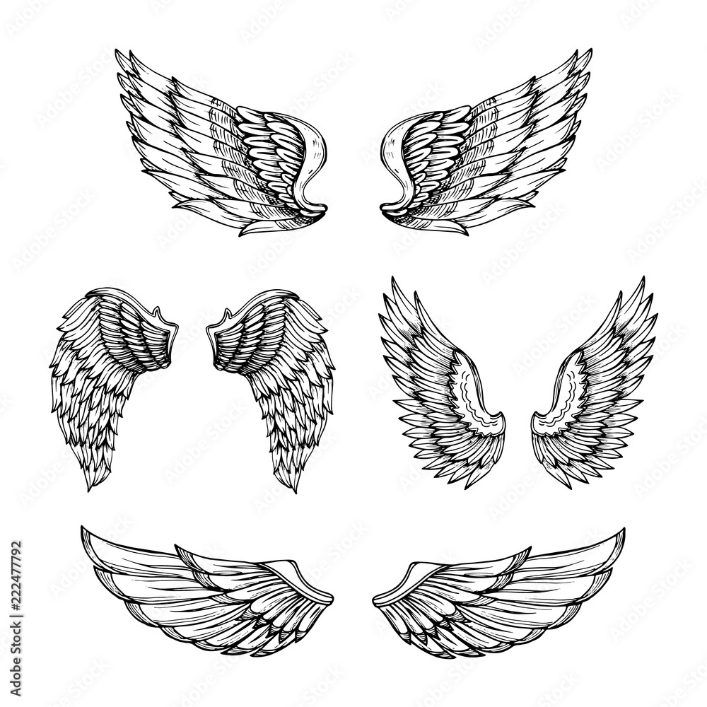 Stock-Vektorgrafik „Hand Drawn Wing. Sketch Angel Wings With within Angel Wing Feather Template
