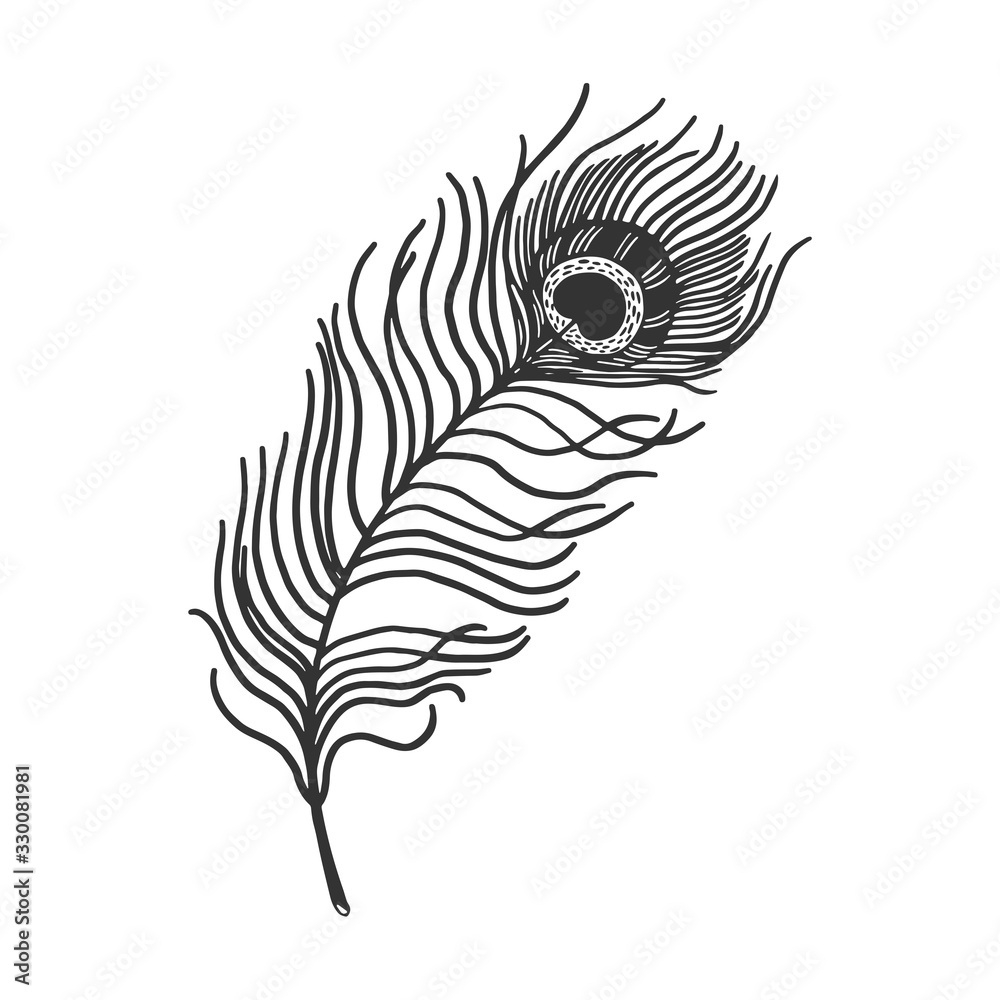 Stock-Vektorgrafik „Peacock Feather Sketch Engraving Vector with Printable Peacock Feather Template