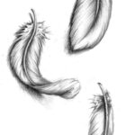 Thinking About Having Burning Feathers Falling Down The Side Of My With Feather Tattoo Template