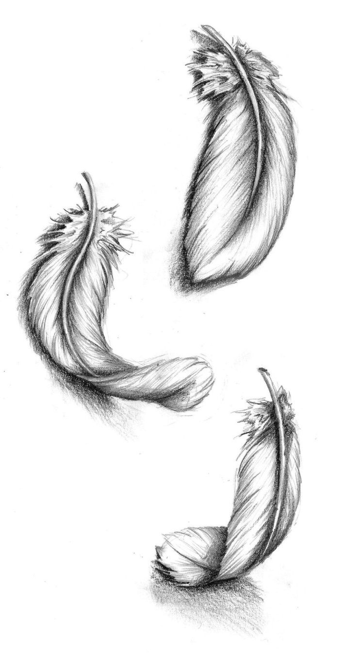 Thinking About Having Burning Feathers Falling Down The Side Of My with Feather Tattoo Template