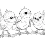 Three Pretty Little Birds   Bird Coloring Pages In Feather And Birds Coloring Template Free Printable