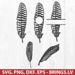 Turkey Feather Svg, Thanksgiving Svg, Png, Dxf, Eps, Cut Files For For Turkey Feather Template Cricut