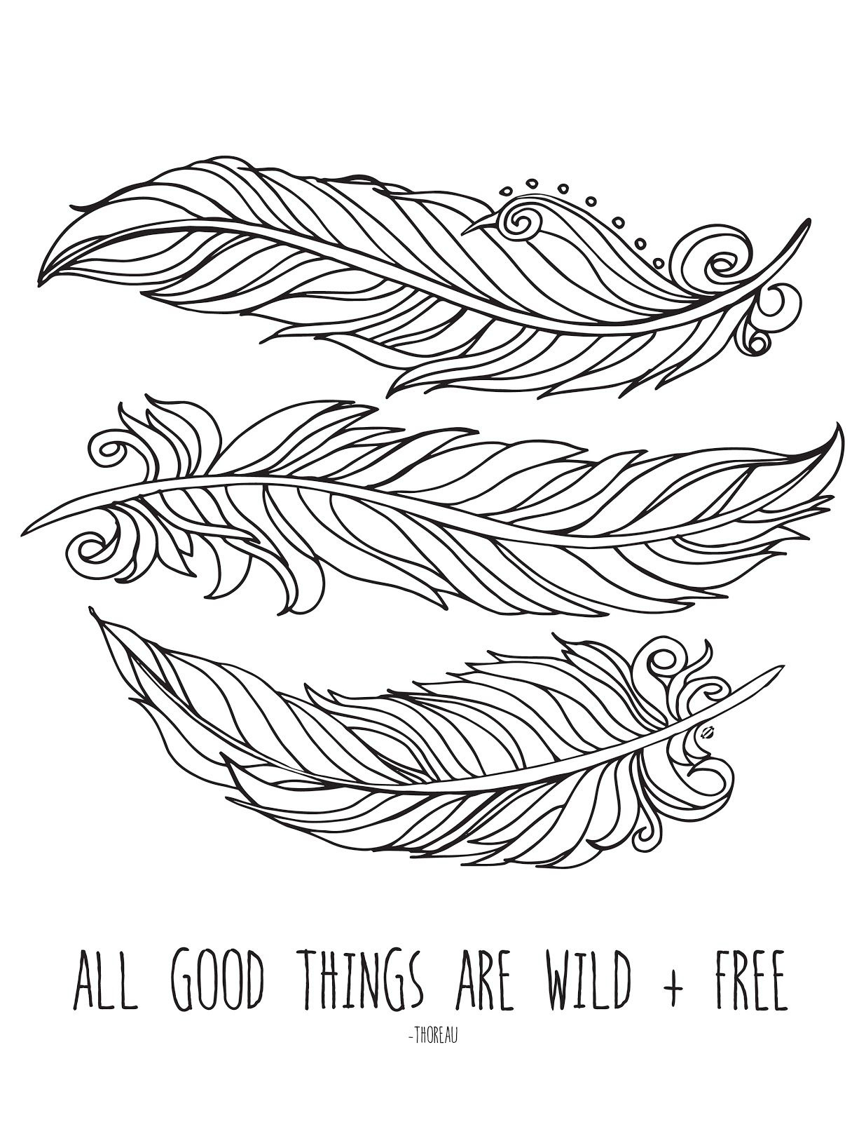 Wild + Free for Feather Coloring Template Free Printable