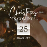 Brown Animated Countdown Days Until Christmas Instagram Story For Christmas Instagram Story Template