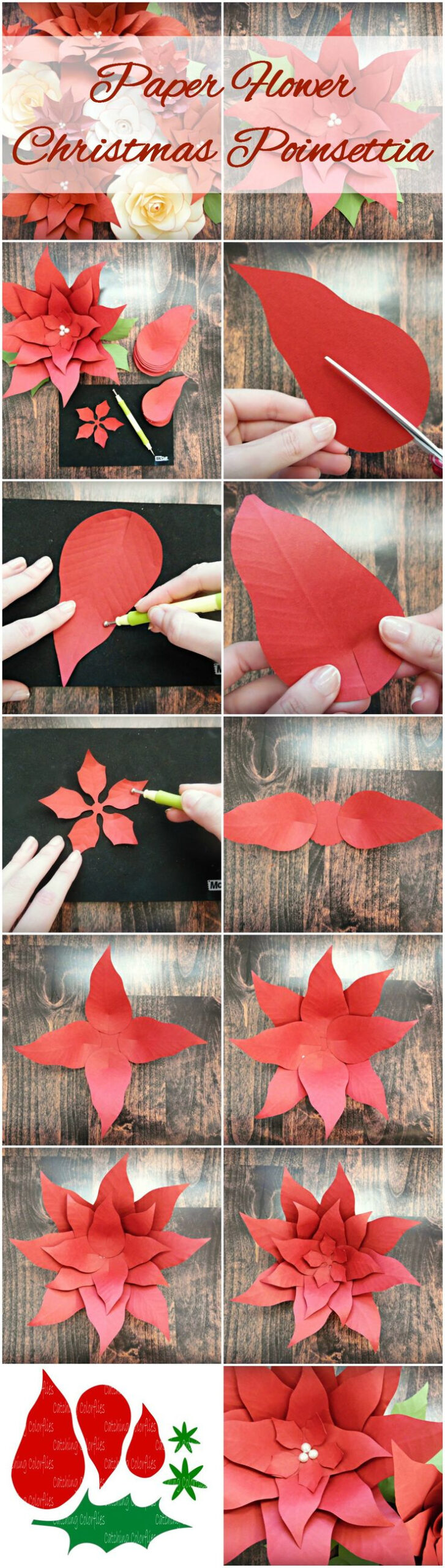 Christmas Poinsettia Paper Flowers Template, Flower Svg Cut Files within Christmas Paper Flowers Template