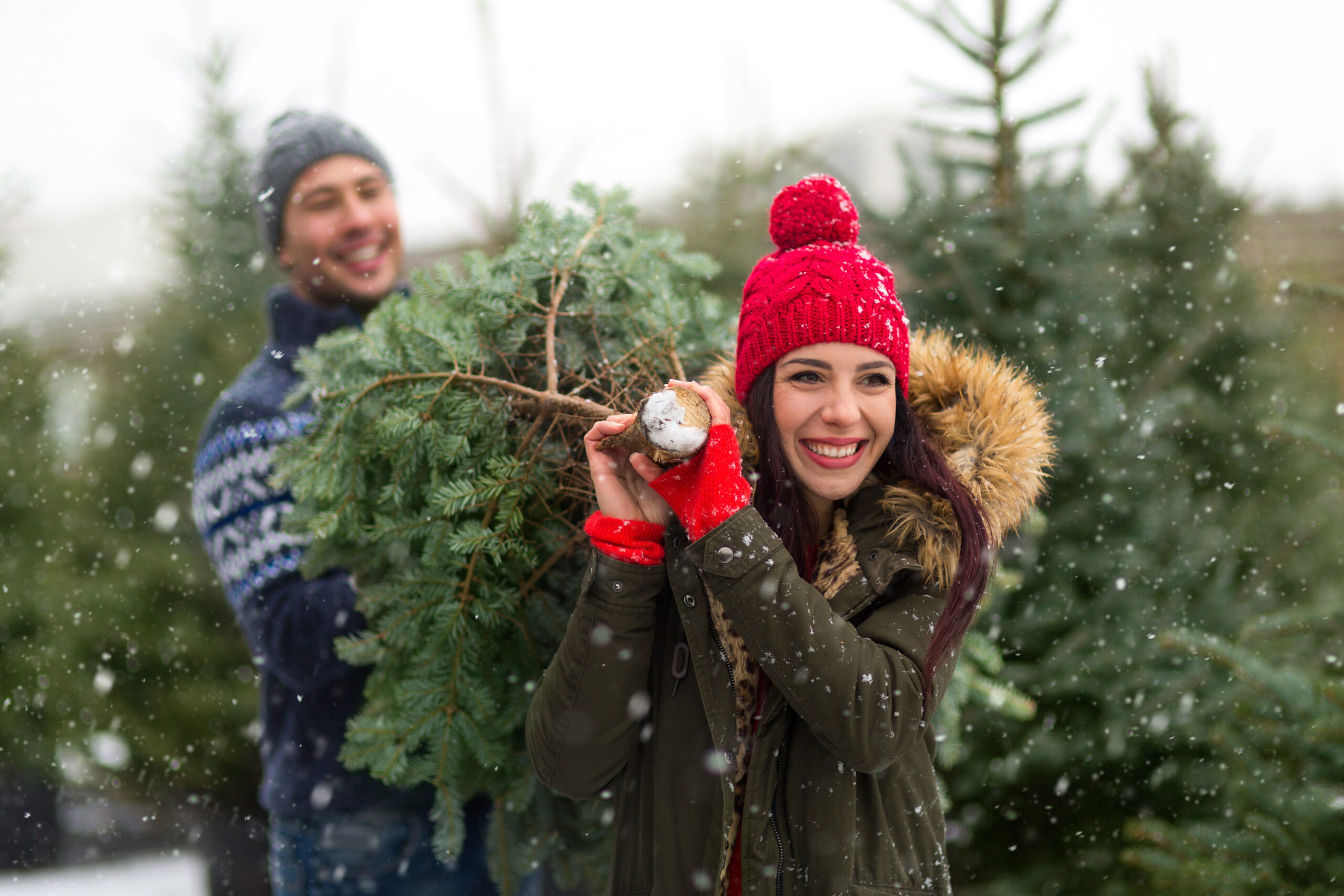 Christmas Tree Farming 101 | Zenbusiness regarding Christmas Tree Farm Business Plan Template