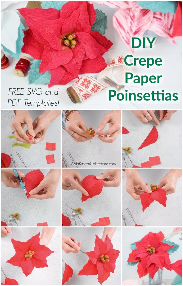 Crepe Paper Poinsettia Flowers: Free Poinsettia Template And Tutorial within Christmas Paper Flowers Template