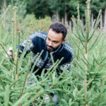 My Woodlot   Plan A Christmas Tree Farm With Regard To Christmas Tree Farm Business Plan Template