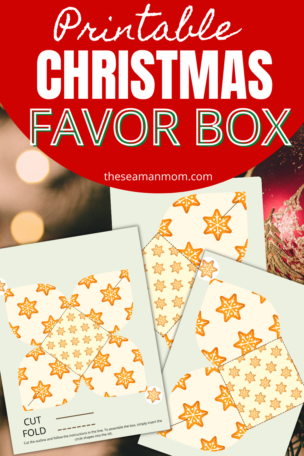 Printable Box Template For Christmas - Easy Peasy Creative Ideas within Christmas Treat Box Template