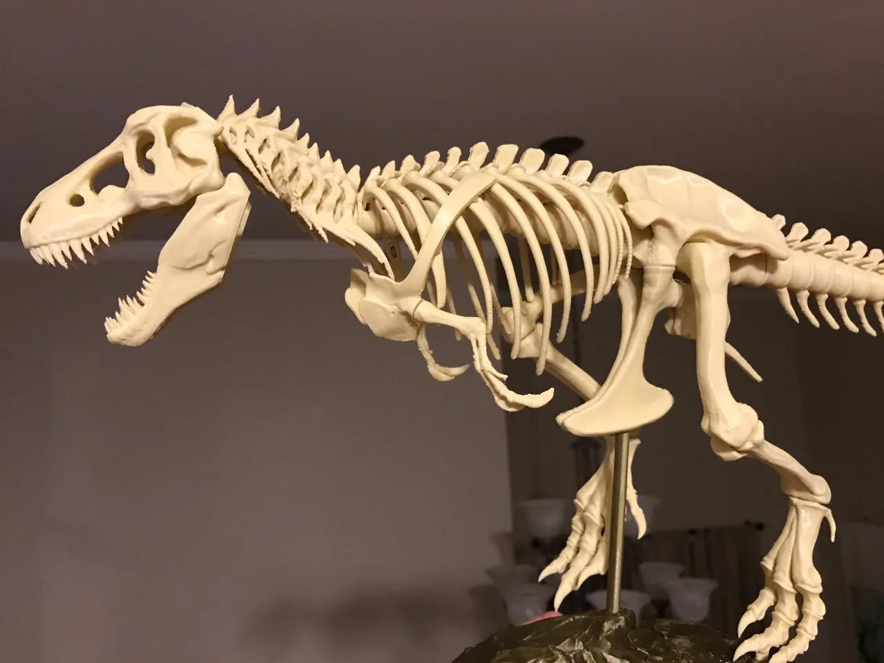 19871 T Rex Skeleton Fixed And Printable