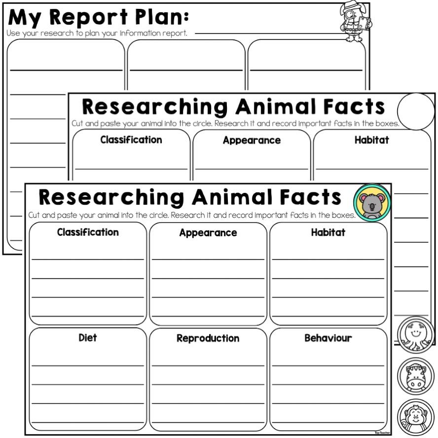 Animal Information Report Research Planning Templates Animal Information Report Research Planning Templates