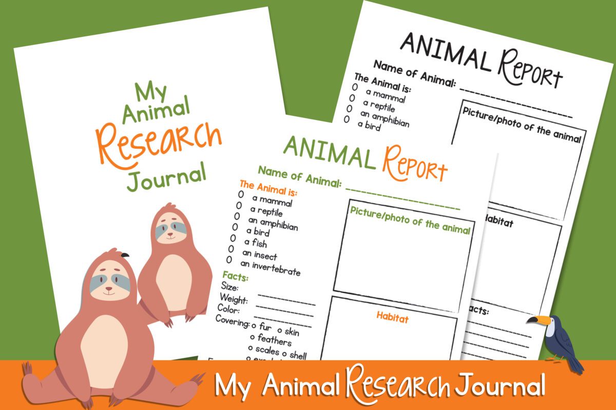 Animal Report Template For Kids Animal Report Template For Kids