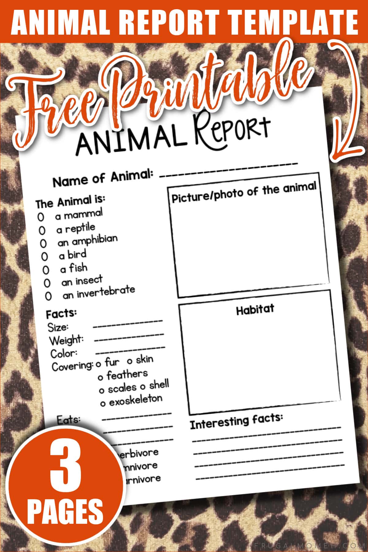 Animal Report Template For Kids Animal Report Template For Kids