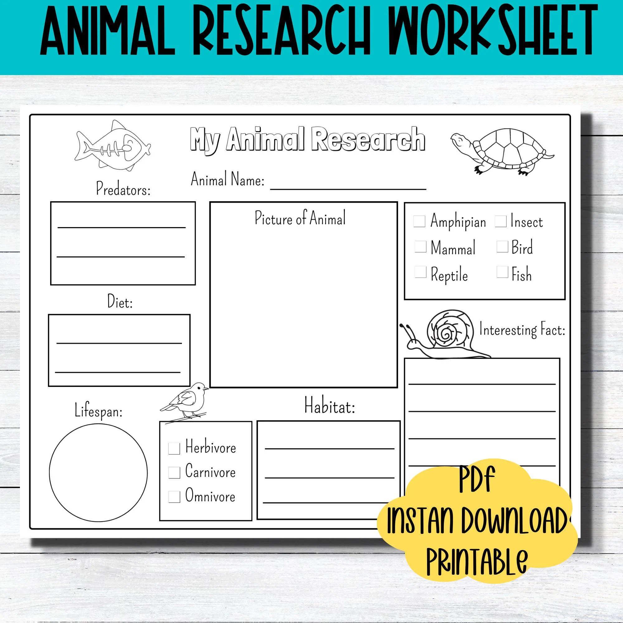 Animal Report Template Research Animal Report Template Research