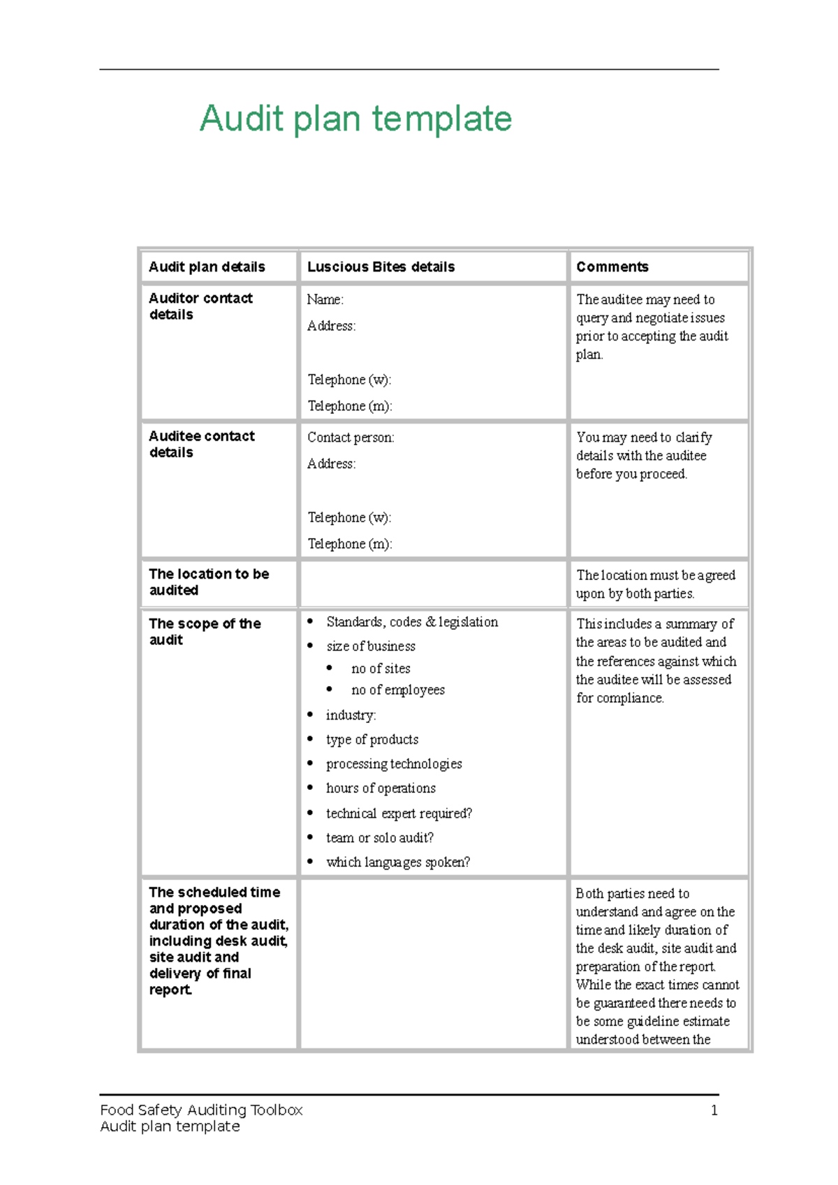 Audit Plan Template Description