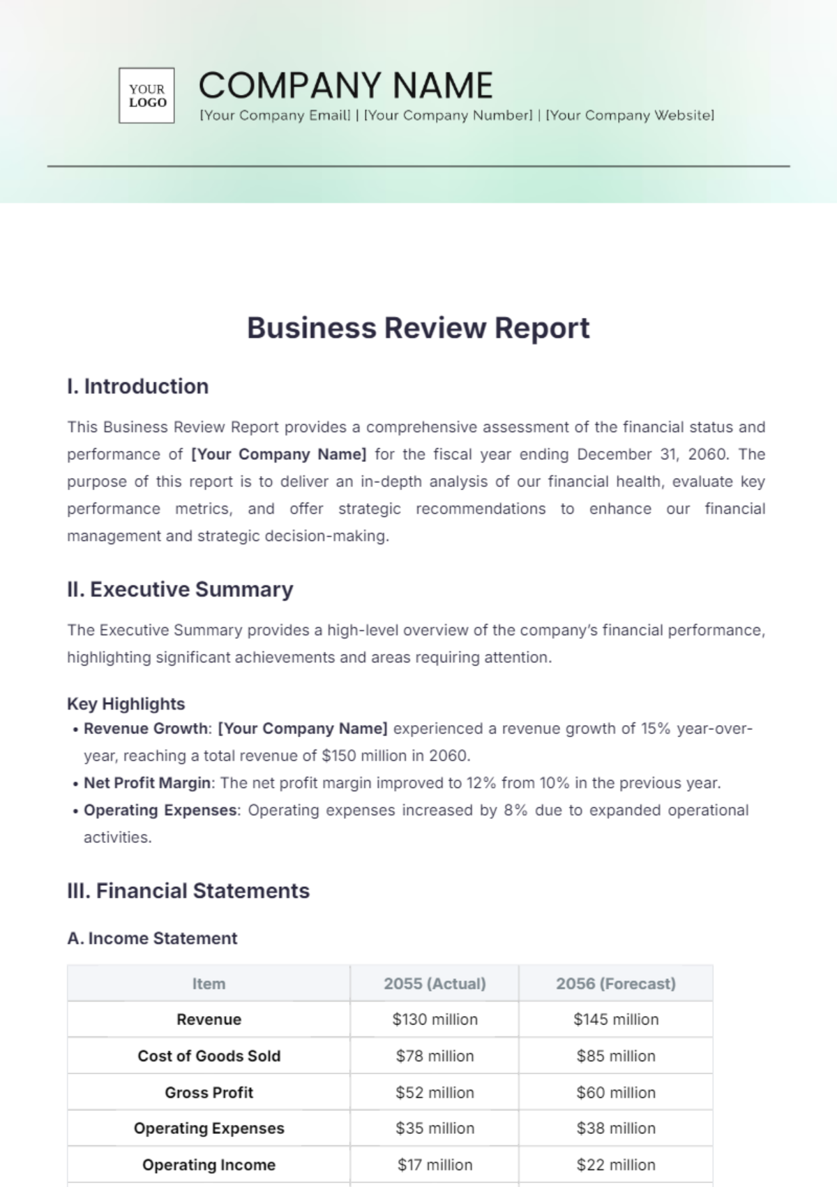 Business Review Report Business Review Report