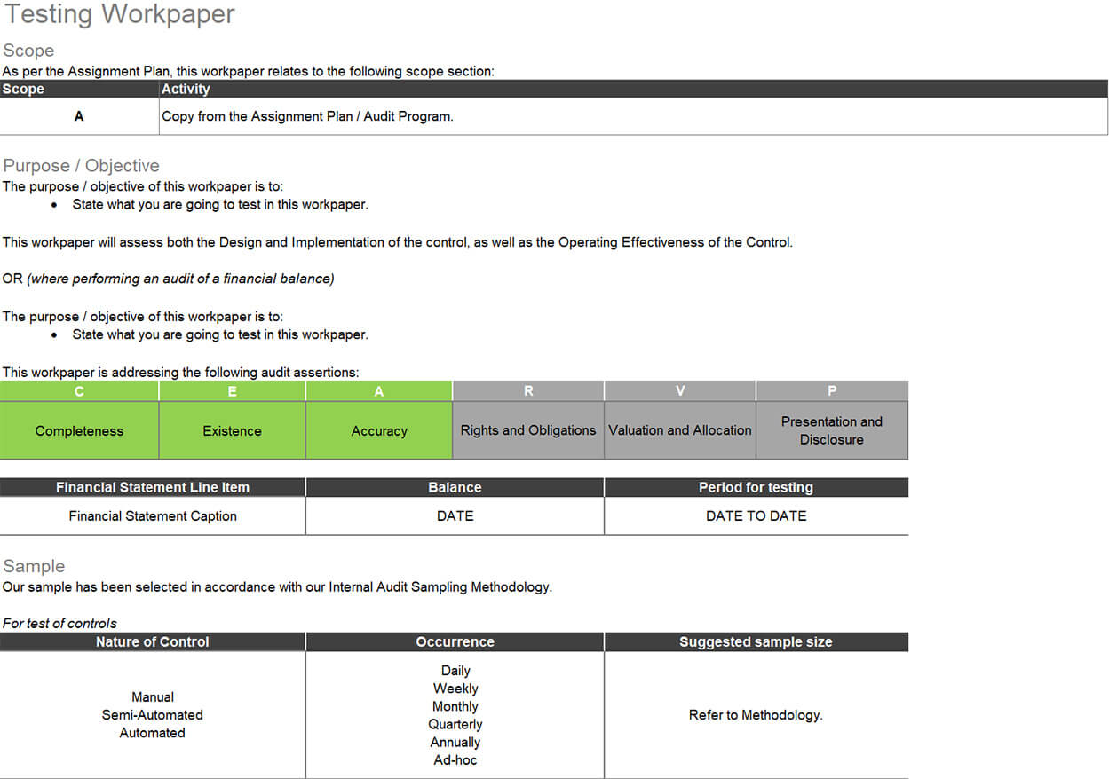 C5 Testing Workpaper Excel