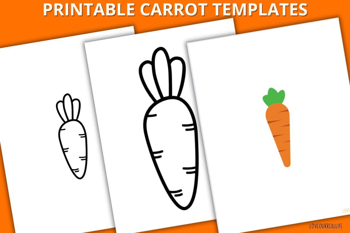 Carrot Template