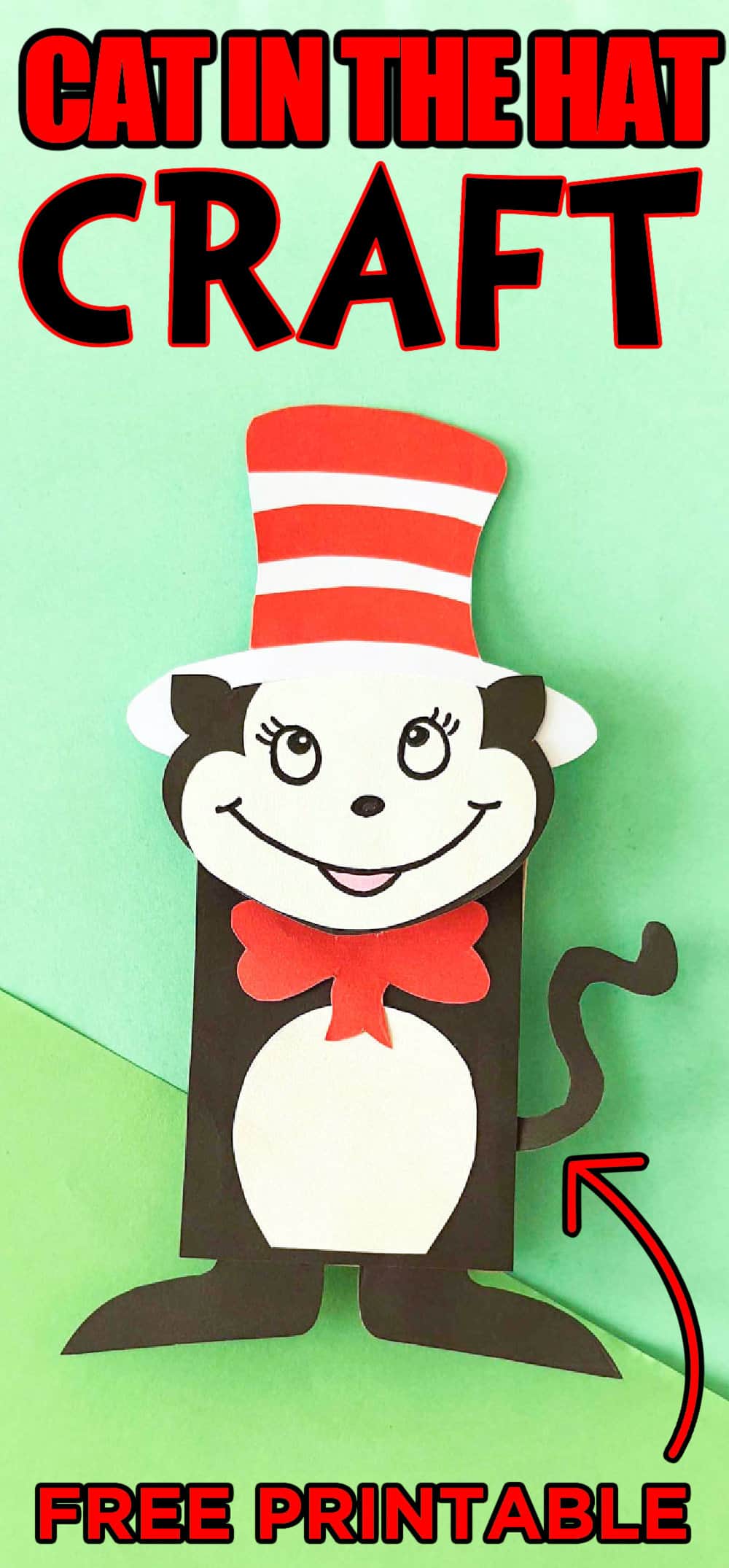 Cat In The Hat Craft