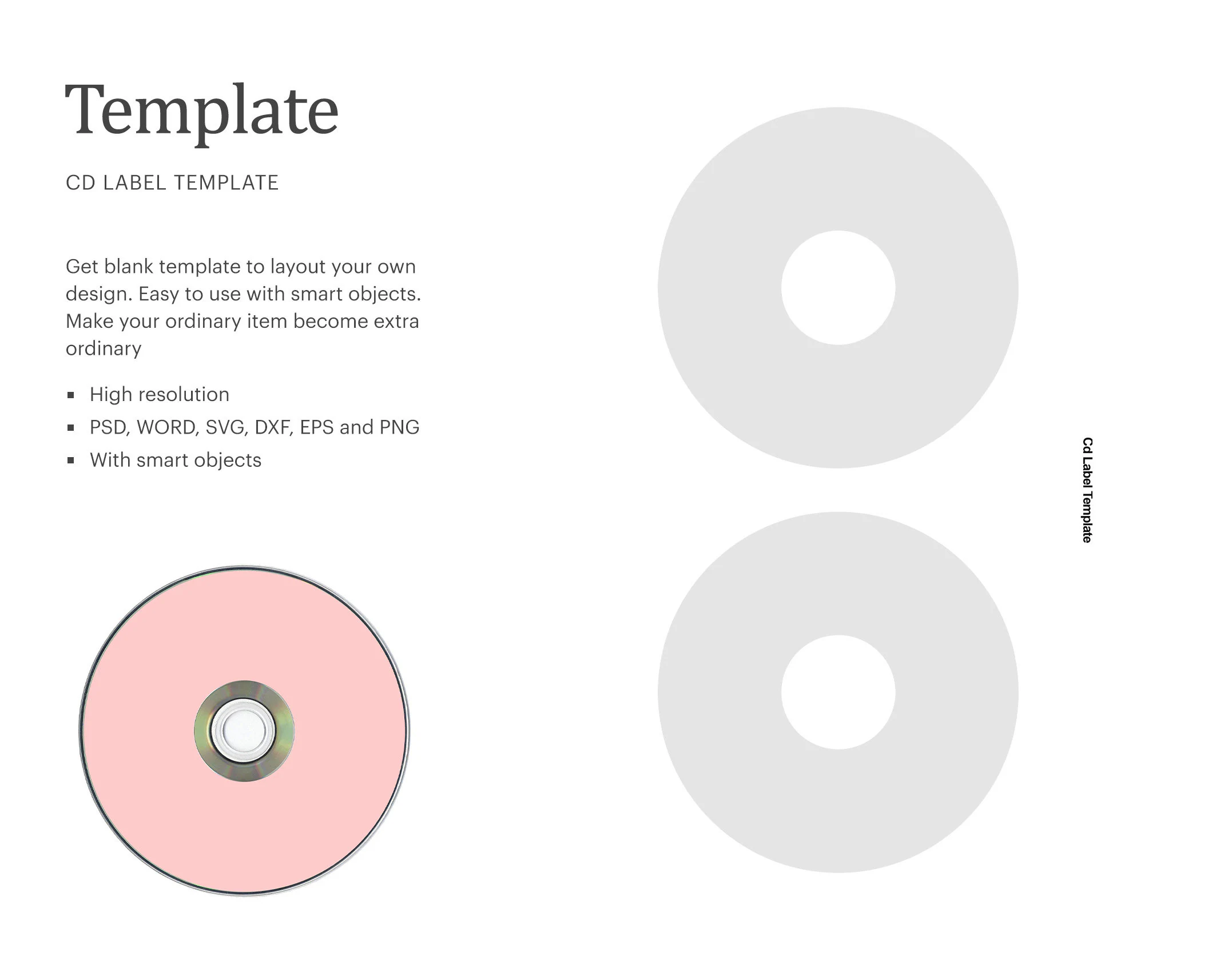 Cd Label Template Dvd Blank Label