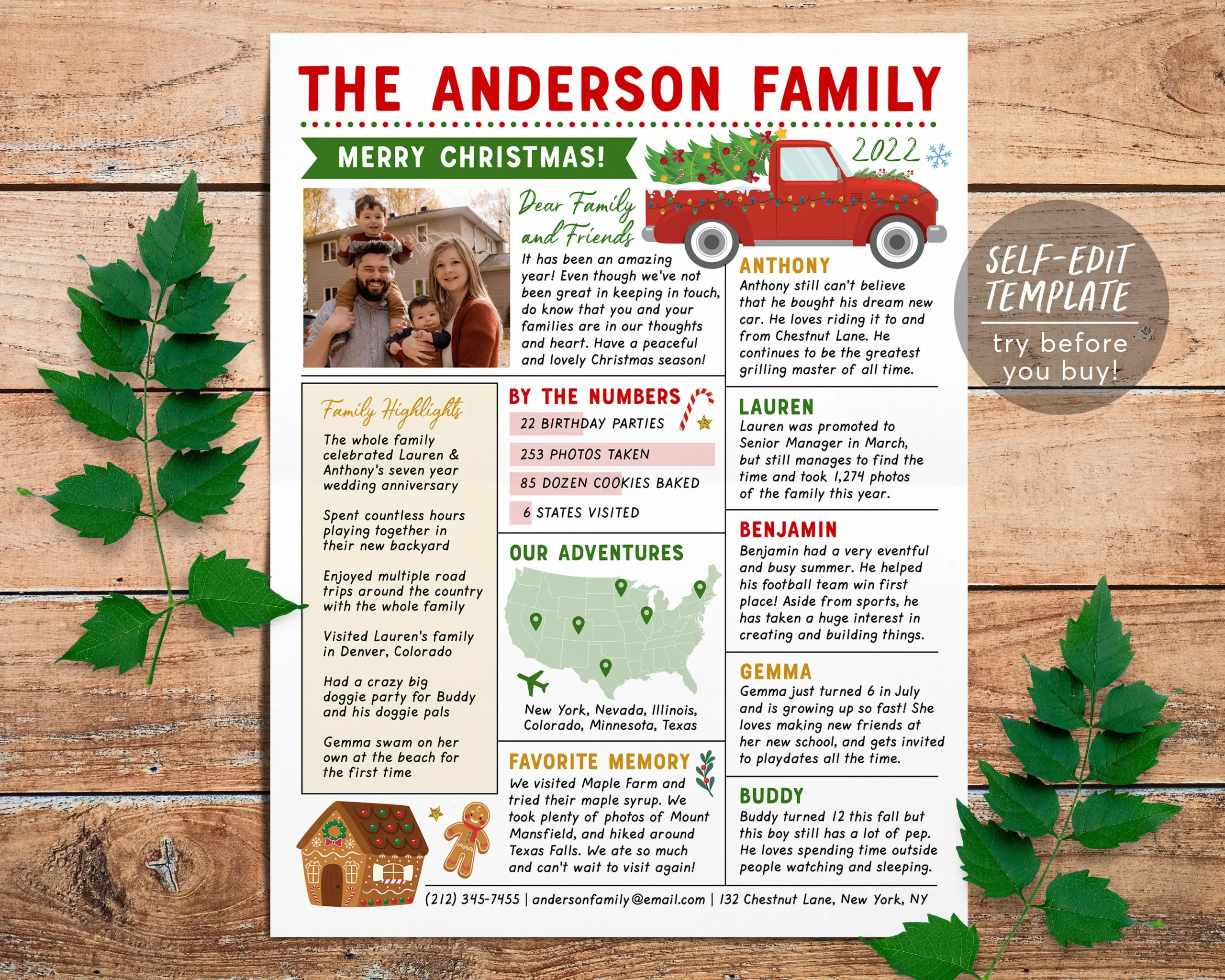 Christmas Newsletter Editable Template