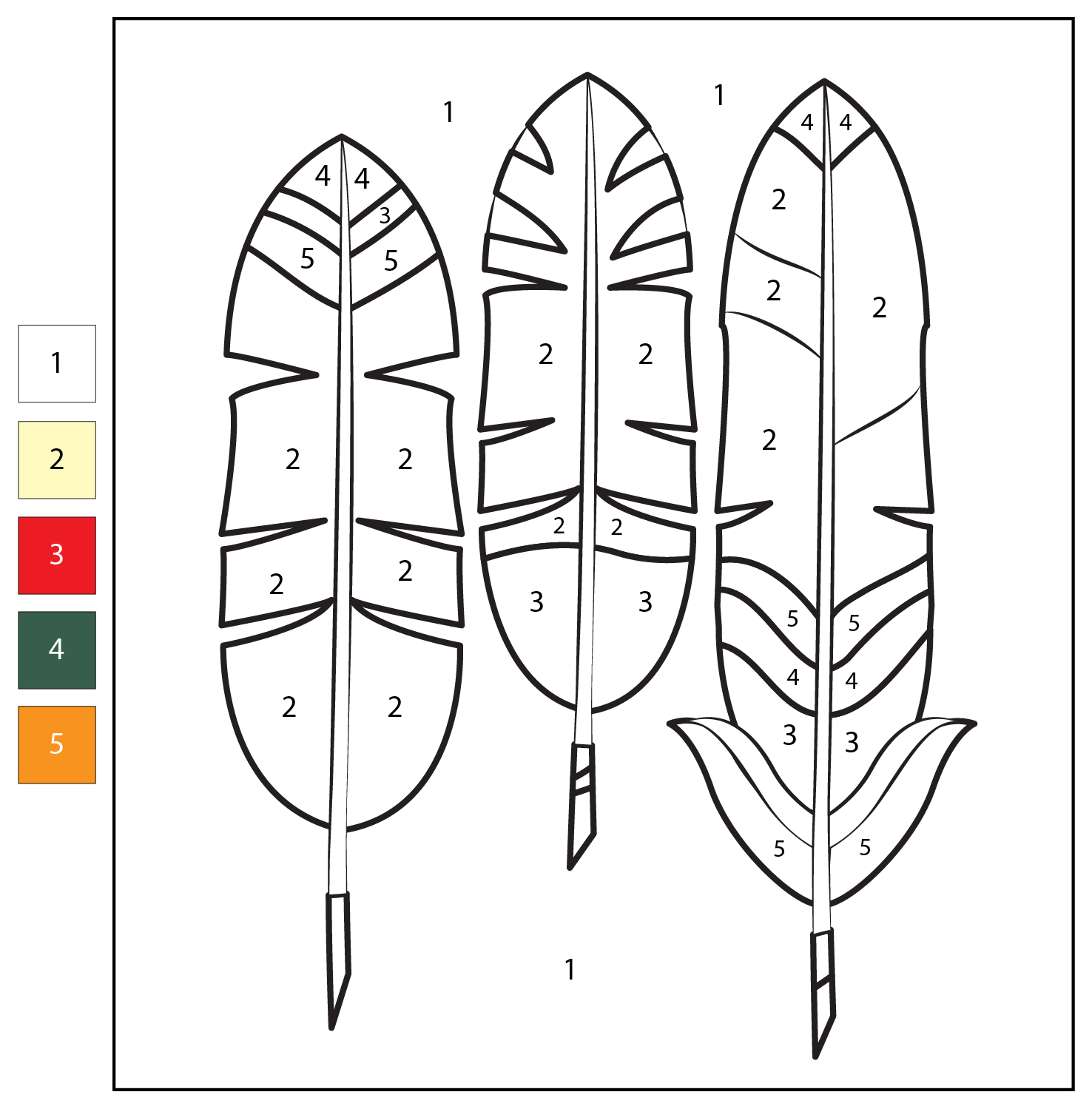 Color By Number Indian Feather Color By Number Indian Feather