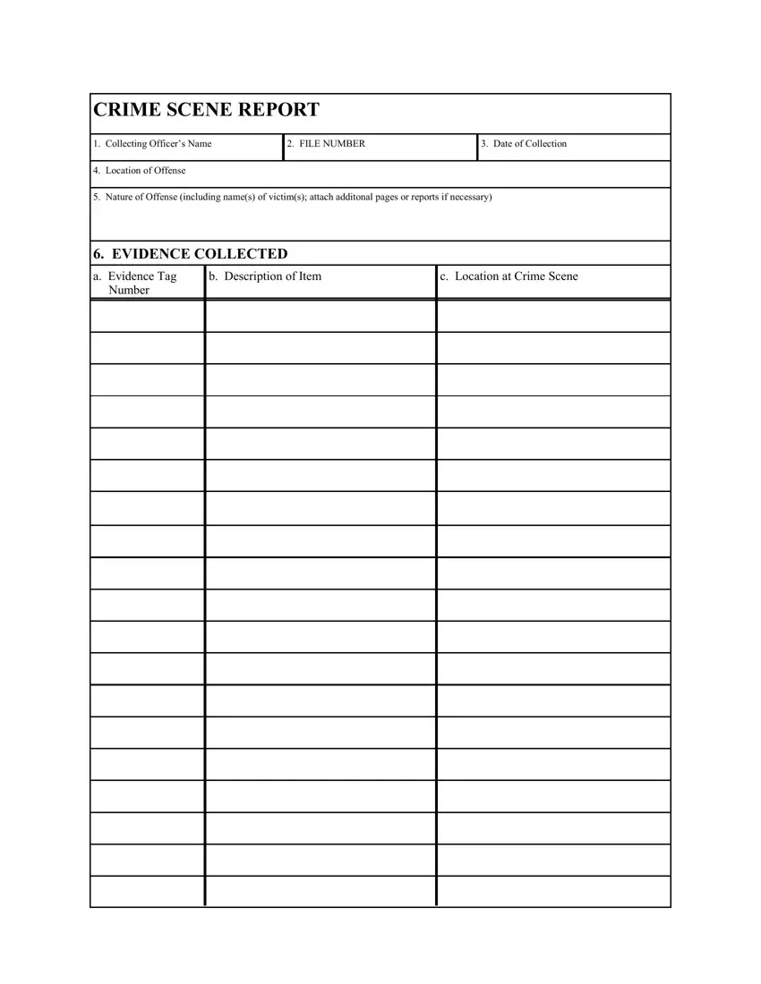 Crime Scene Report Form