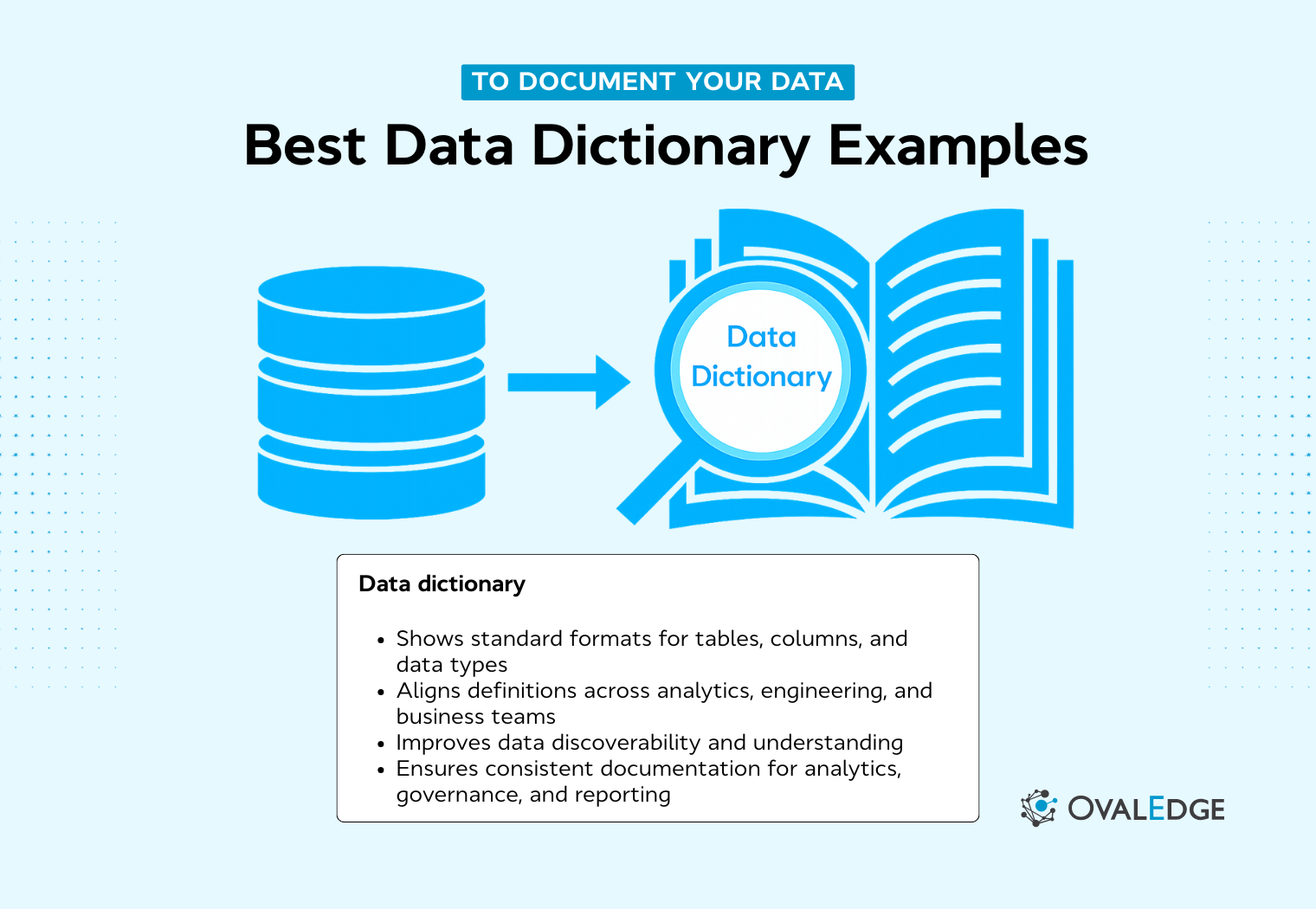 Data Dictionary Examples Templates