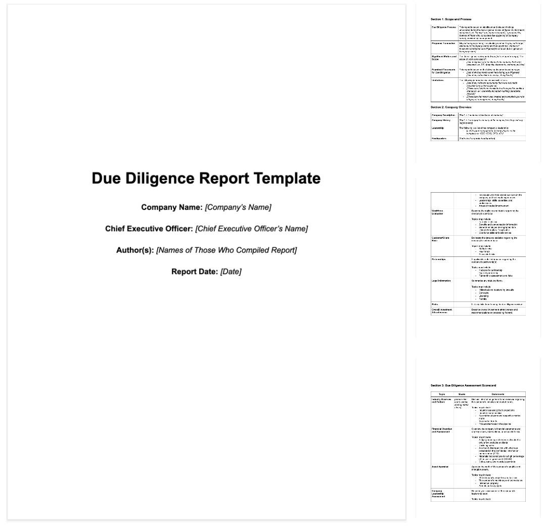 Due Diligence Report