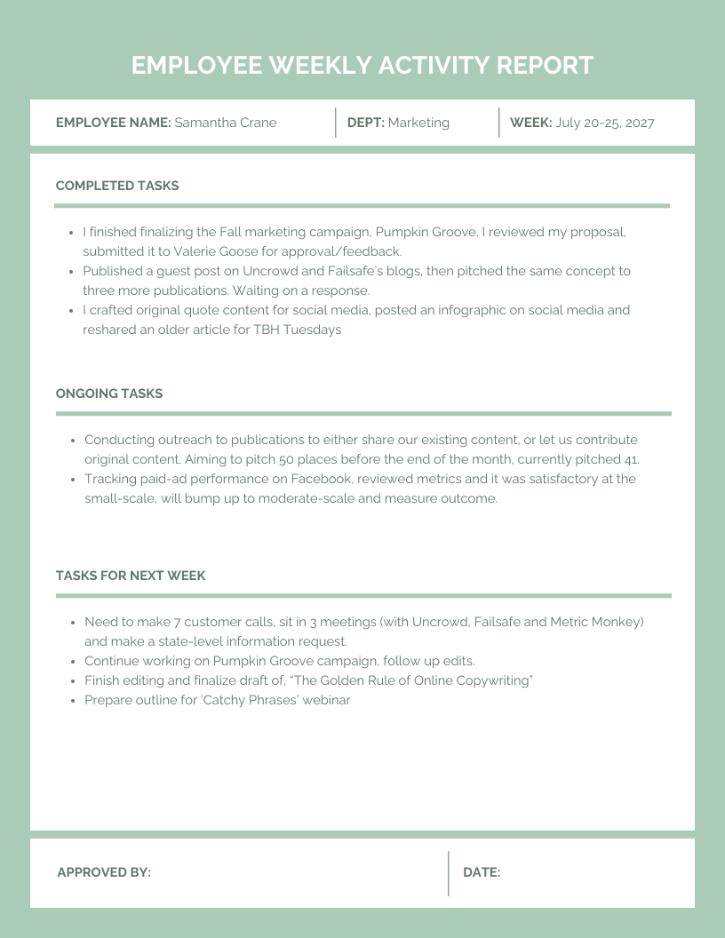 Employee Weekly Activity Report F35ea495 0a06 4efd A721 E35b3258428c