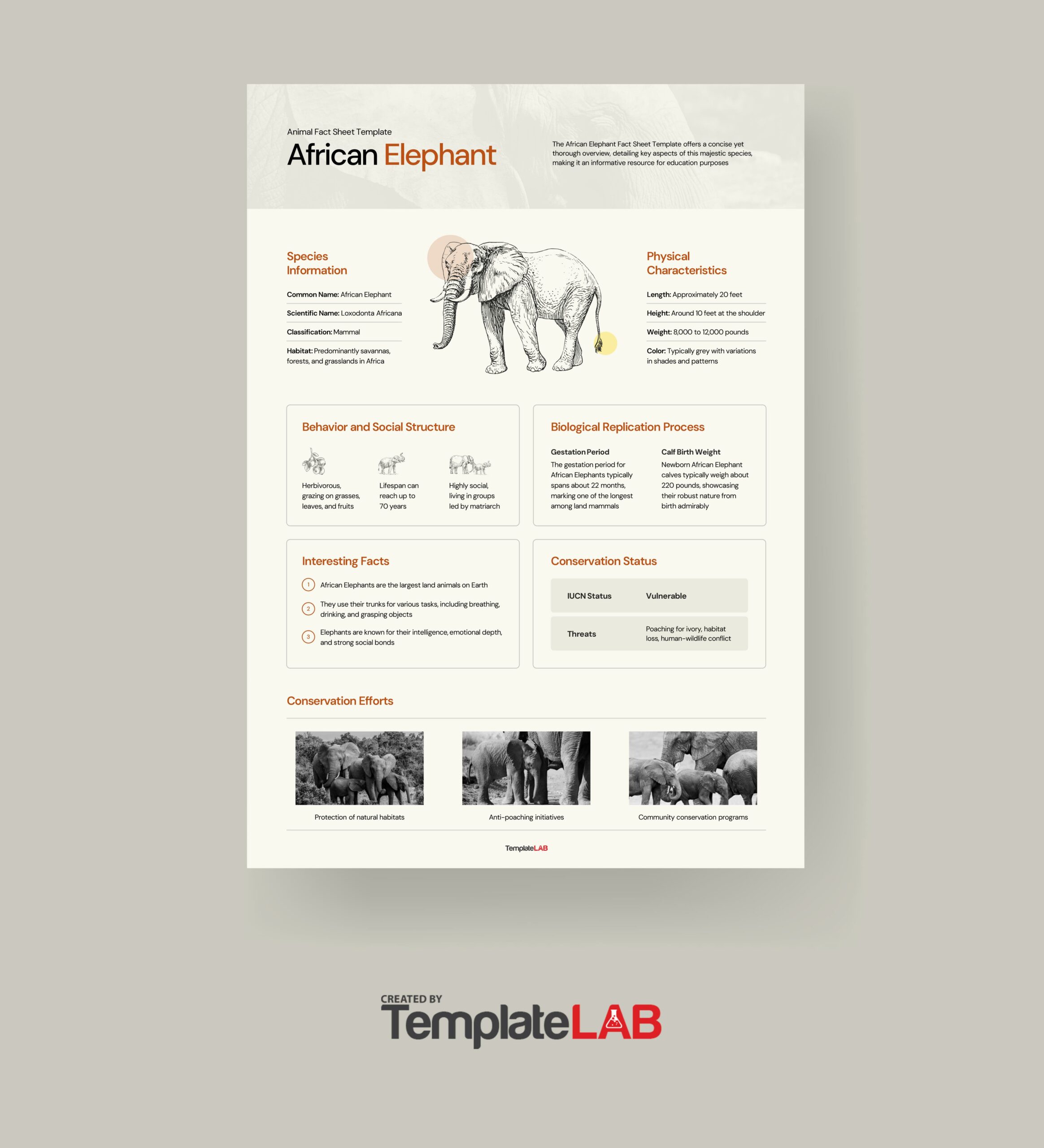 Fact Sheet Templates Fact Sheet Templates