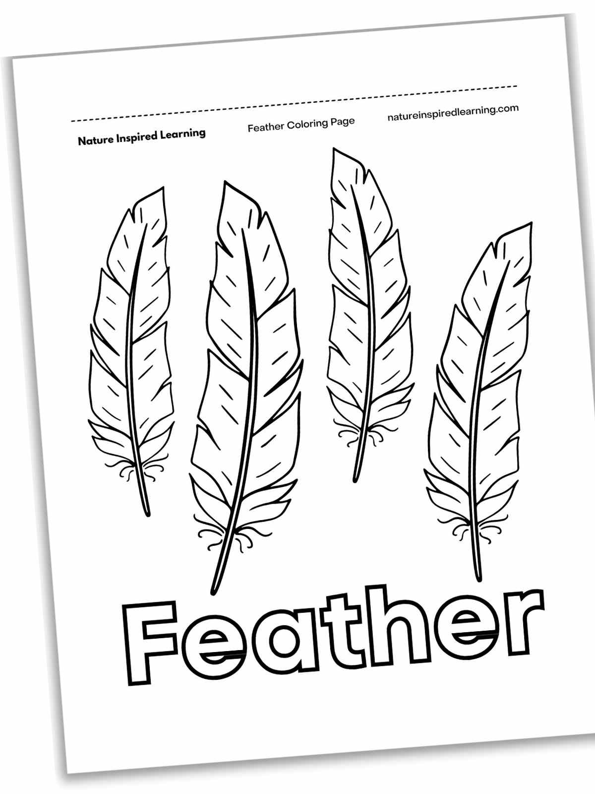 Feather Coloring Pages