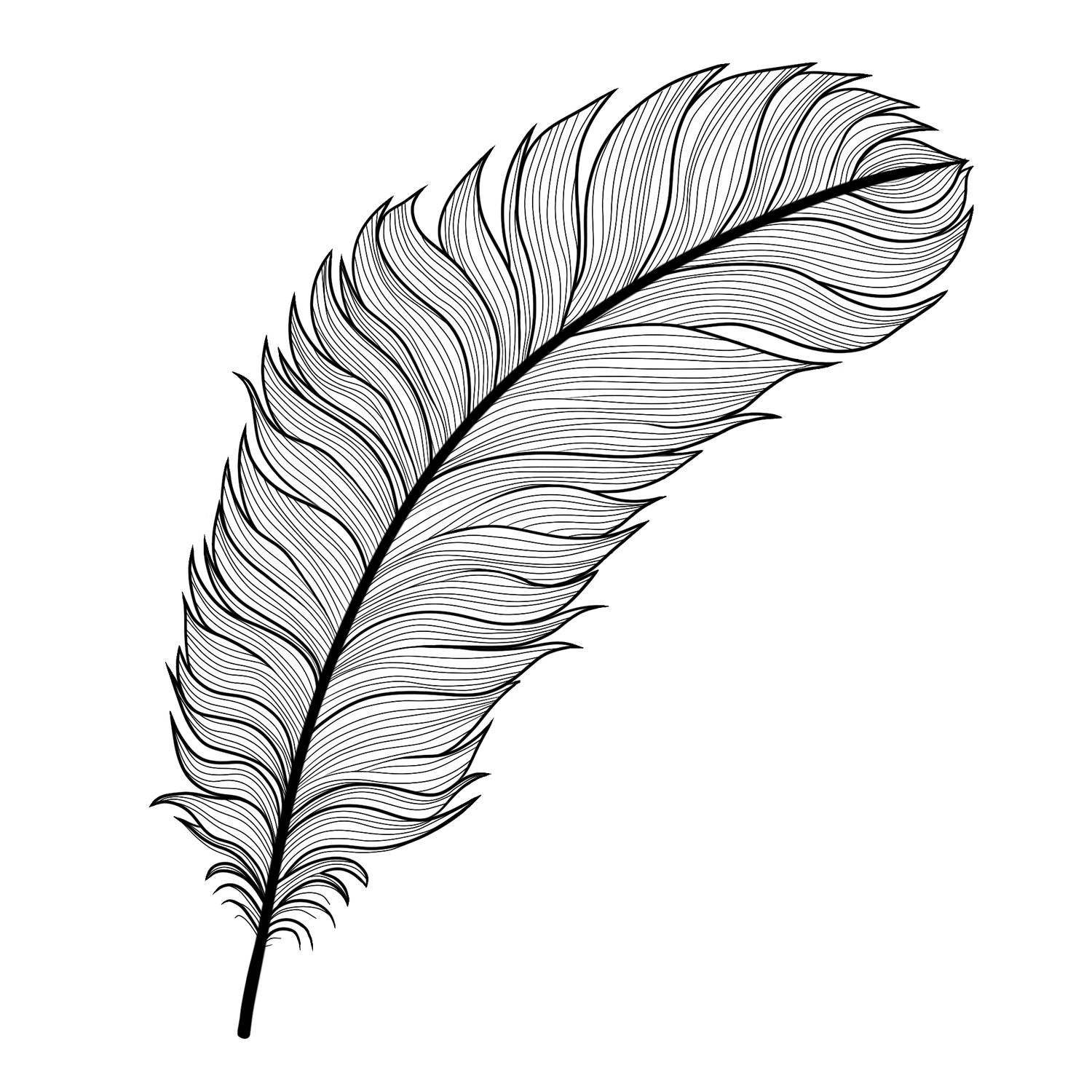 Feather Template Royalty Free Feather Template Royalty Free