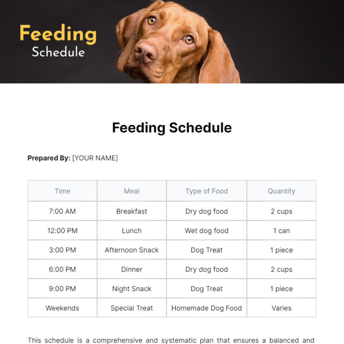 Feeding Schedule Feeding Schedule