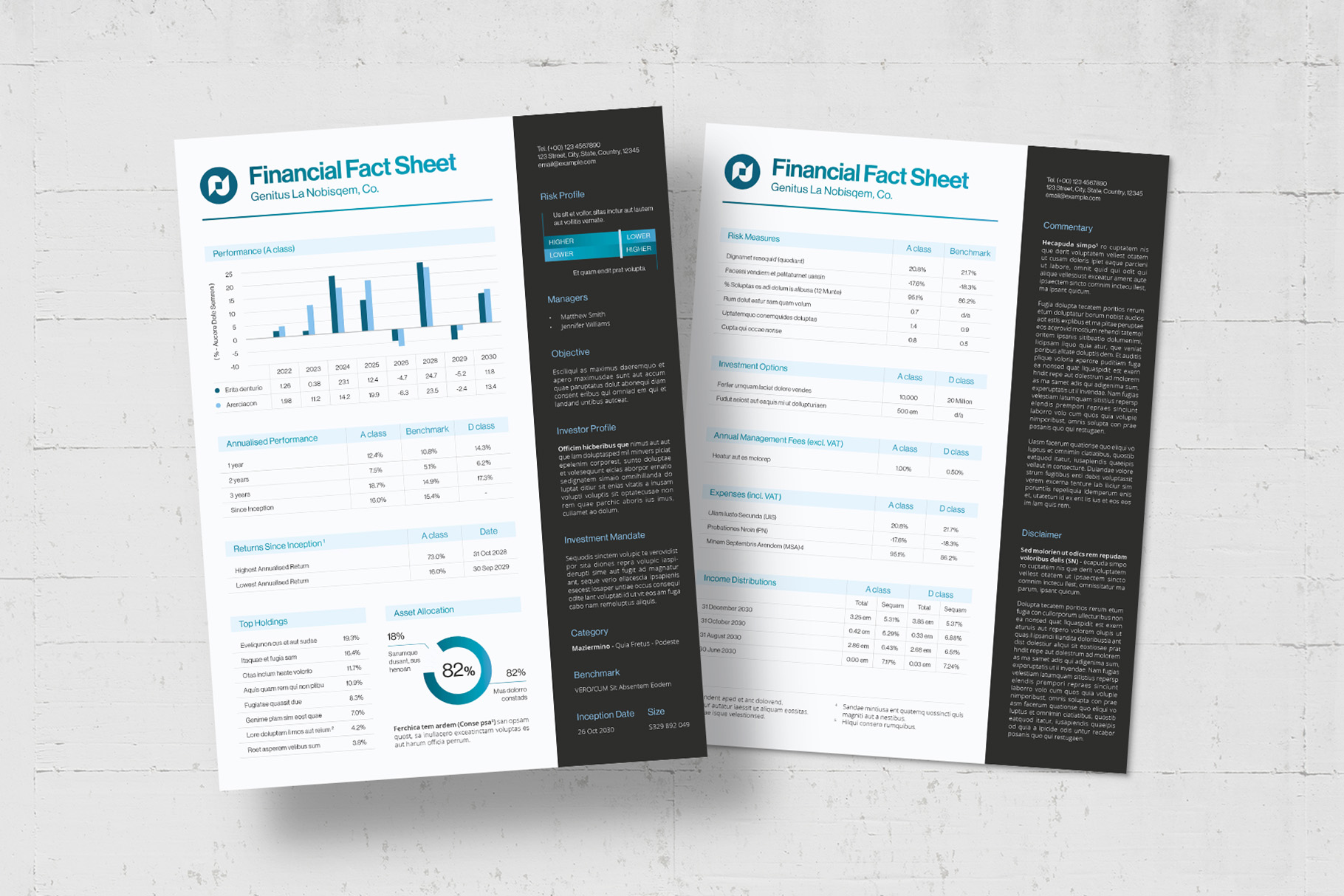 Finance Fact Sheet Template