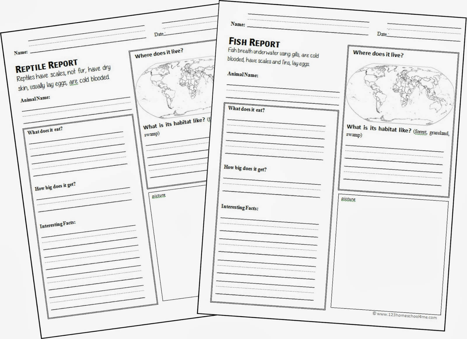 Free Animal Report Form Printable 12