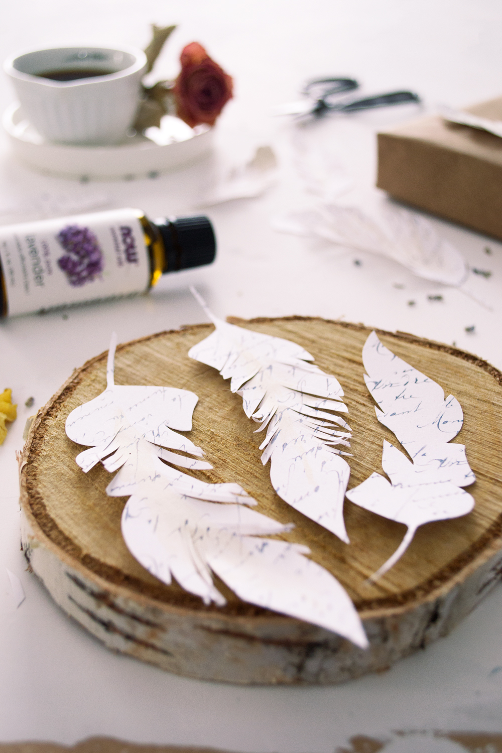 French Script Paper Feathers French Script Paper Feathers
